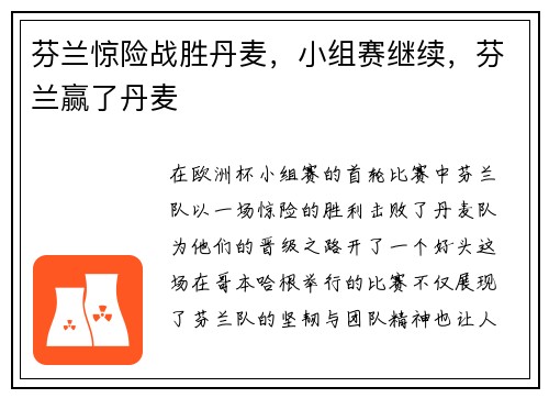 芬兰惊险战胜丹麦，小组赛继续，芬兰赢了丹麦