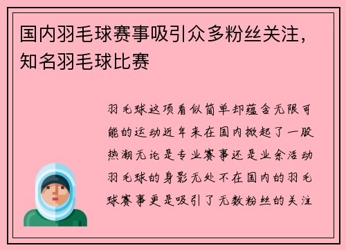 国内羽毛球赛事吸引众多粉丝关注，知名羽毛球比赛