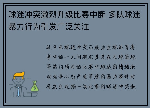 球迷冲突激烈升级比赛中断 多队球迷暴力行为引发广泛关注 球迷冲突激烈升级比赛中断 多队球迷暴力行为引发广泛关注